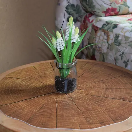 Daire Holstein-hoefle - Gipfelstueble