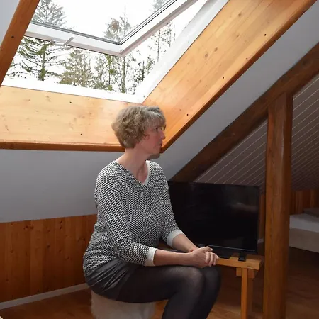 Lägenhet Holstein-hoefle - Gipfelstueble *