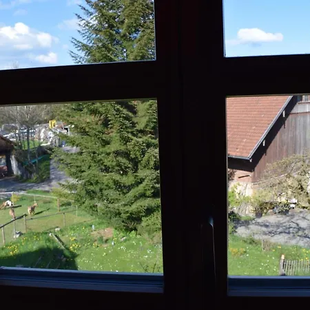 Holstein-hoefle - Gipfelstueble Argenbuhl